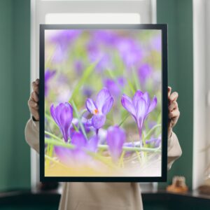 Narcissen