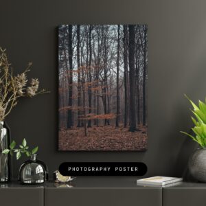 "Herfstbos" – natuur, rust, minimalisme